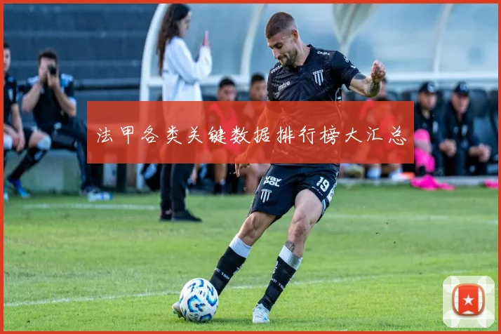 法甲各类关键数据排行榜大汇总