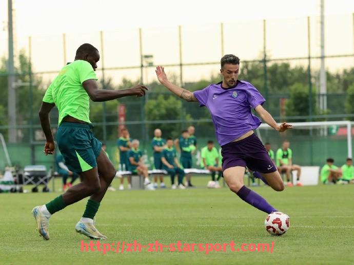 星空体育app-世俱杯替补登场球员对球权分配变化影响机制研究